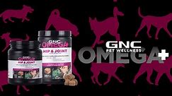 GNC Omega Hip & Joint Supplements for Adult Dogs