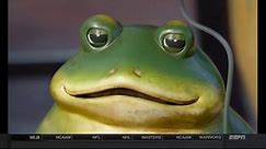 Lowe's TV Spot, 'Make Your Home Happy: Frog'
