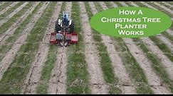 How Does a Christmas Tree Planter Work?
