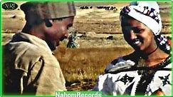 Ethiopian Music - Tigabu Chernet - Balager (Official Music Video)
