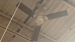 Ceiling fans at Home Depot (2024)