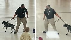 Detroit TSA Worker Suspended After Video Shows Him Yanking Dog Around