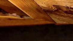 Troubleshooting Rodent Damage in Attic: Water Line Repair Tips