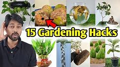 My 15 Gardening Hacks you must know, DIY Home Garden ideas (part-1)