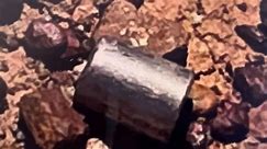 Tiny Missing Radioactive Capsule Found on Roadside in Australia