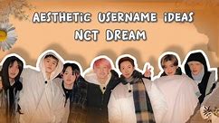 Aesthetic username ideas |NCT dream ver.
