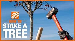 How to Stake a Tree 🌳 | The Home Depot with @joegardenerTV