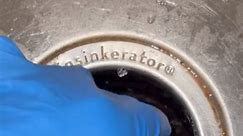 Another Garbage Disposal Clean Video for my new followers! Its easy! #plumbing #electrician #carpenter #handyman #tradesman #tradeswoman #trades #inspiration | Dave Doc DIY