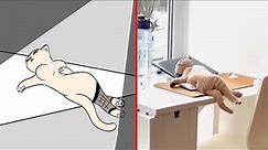 🤣 Drawings of Cat Memes: Funniest Animals 2023😂 Drawing Meme | Funny Cats and Dogs | Cat Memes