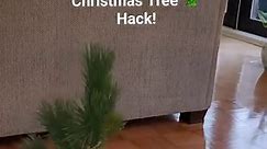 🎄Easy Tabletop Christmas tree hack! 🌟 Introducing my speedy setup, tabletop Christmas tree! 🎅 Quicker to set up, quicker to take down – the holiday hustle is real, right? 😂 I had a spare pine stem from my previous project, raided my decor stash, and repurposed a brass plant pot and river rocks for extra charm and voila! What's the verdict, my bona fide beauties? Do you prefer a mini wonder or grandiose glamour?✨ #DIYHolidayMagic #TabletopTree #DIYChristmas #TabletopTreeMagic #HolidayHacks #F