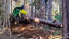 Logging with me skidder on steel tracks