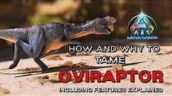 ARK Survival Ascended | How to USE the OVIRAPTOR / How to TAME the EASIEST / BEST KIBBLE FARM