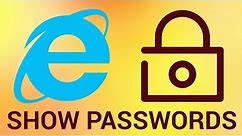 How to Display all Internet Explorer Saved Passwords