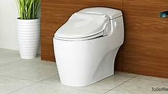 5 Best Bidet Toilet Combos - (2021 Reviews & Buyer's Guide)
