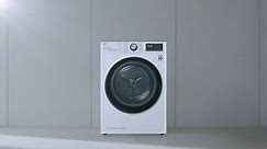 LG DUAL Inverter Heat Pump™ Dryer - New standard of efficient drying