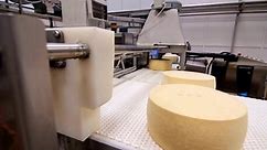 Cheese Arranged Boxes Cheese Factory Warehouse Stock Footage Video (100% Royalty-free) 1088329181 | Shutterstock