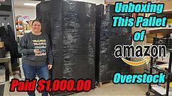 Unboxing a Pallet of Brand New Amazon overstock that bought for $1,000.00 CHECK OUT WHAT WE GOT!
