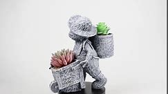 Frog Planter Animal Succulent Pots Gardening Gift for Women Mon Outdoor Garden Statue Frog Cart Decor with Drainage Hole