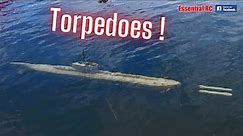 RC Submarine Double Torpedo Firing/Launch Demonstration | Do they hit the target ?