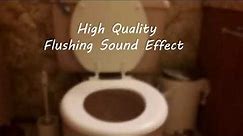 Toilet Flushing Sound Effect - High Quality