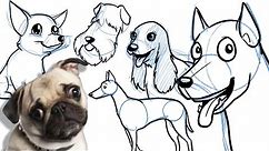 How to Draw a Cartoon Dog - All breeds, and on different angles!