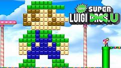 New Super Luigi U - Full Game Walkthrough