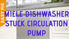 ✨ How to Fix A Miele Dishwasher with A Stuck Pump ✨