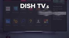 Best of DISH TV with High-Speed Internet