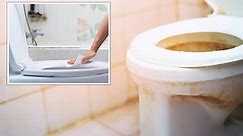 Cleaning expert demonstrates out to clean your toilet