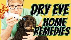 Dry Eye in Dogs: 3 Natural Remedies - Veterinary Secrets with Dr. Andrew Jones, DVM