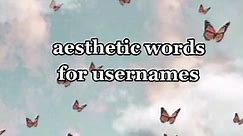 aesthetic words for usernames ! what's next ? #fyp #fypp #fypシ #aesthetics #usernames