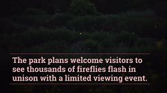 Great Smoky Mountains National Park Announces Dates For World-Famous Synchronous Firefly Display