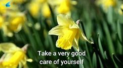 Best Get Well Soon Wishes | Positive Quotes