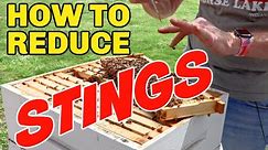 Beekeeping: How To Reduce Your Chances Of Being Stung!