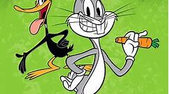 The New Looney Tunes: Season 2 Episode 8 Lucky Duck / Free Range Foghorn