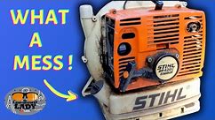 Restore This Stihl BR420 Blower to Its Former Glory
