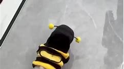 Cute little honey bee 🐝 | Billie Moore