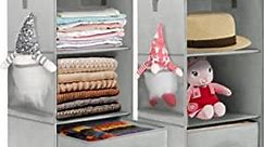 punemi Hanging Closet Organizer, 3-Shelf Hanging Closet Storage with Removable Drawers & Side Pockets, Foldable Hanging Shelves for Closet with Two Ways Hanging, 2 Pack Grey 22.8X 11x 11in