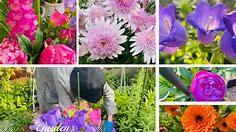PICKING FLOWERS AT GRANDMA’S GARDEN @gardeninghouseplants1112