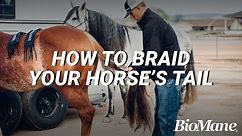 How To Properly Braid Your Horse's Tail