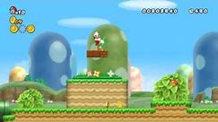 New Super Mario Bros Wii on PC (Dolphin Wii Emulator)
