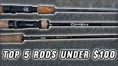 The Top 5 fishing rods under $100! 2024 Buying Guide