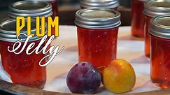 Plum Jelly Recipe and Canning Video