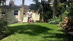 Honda Self Propelled Lawn Mower Mulching Grass