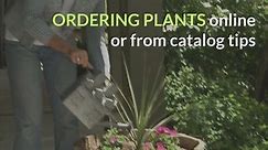 Use internet, catalogs wisely for ordering plants