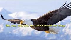Wind Beneath My Wings (lyrics) Bette Midler