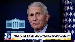 Rand Paul slams Fauci for 'disastrous' judgment call on gain-of-function research: He 'allowed this'