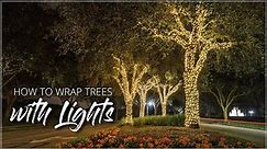 How To Wrap Trees With Lights