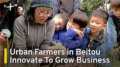 Taipei's Urban Farmers Innovate To Expand Business