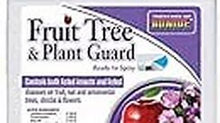 Bonide Fruit Tree & Plant Guard, 32 oz Ready-to-Spray Insect & Disease Control for Trees, Shrubs and Flowers